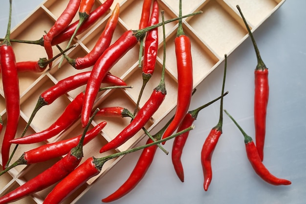 Un plateau de piments rouges avec une tige verte.