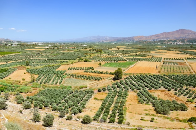 Plateau pittoresque en Grèce sur l'île de Crète