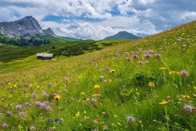 Le plateau de Pralongia au coeur des Dolomites, entre Corvara et San Cassiano