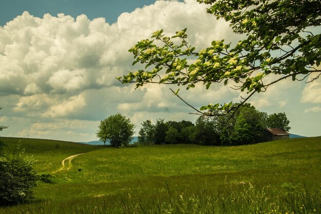 le plateau de Retord à Ain en France