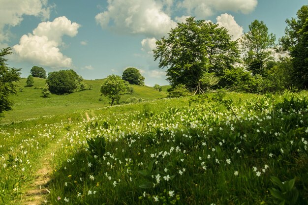 le plateau de Retord à Ain en France