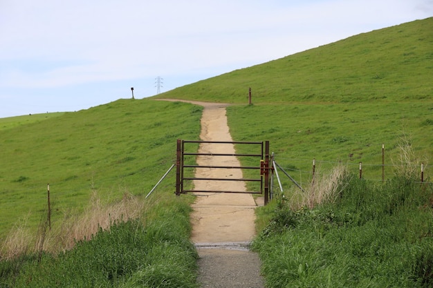 Plateau de Vargas en Californie