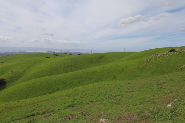 Plateau de Vargas en Californie