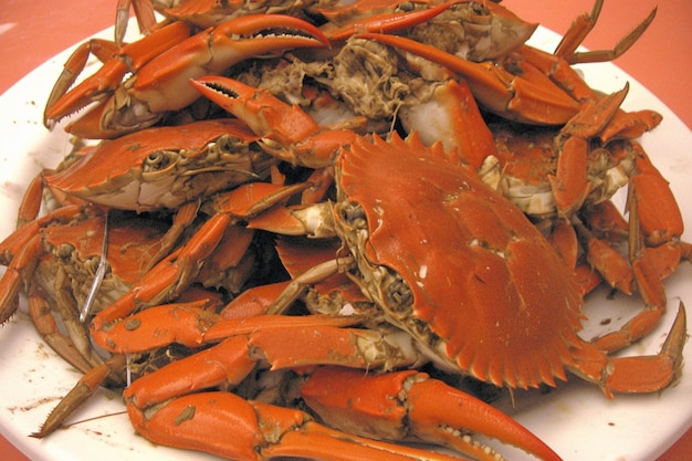 Des plats de crabe mettent en valeur des trésors de fruits de mer