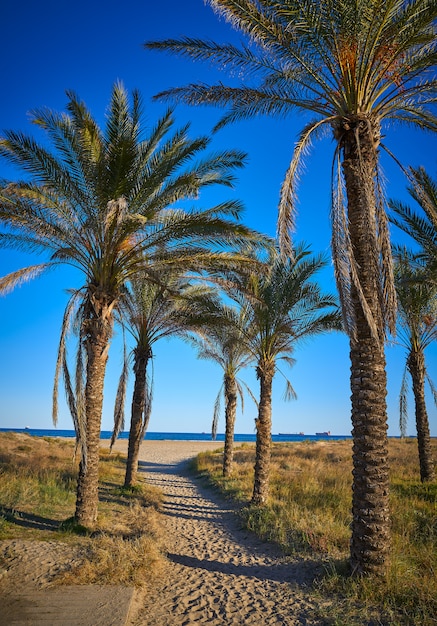 Playa El Pinar à Grao de Castellon