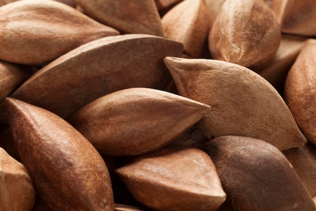 Photo plein cadre de noix de pili non décortiquées