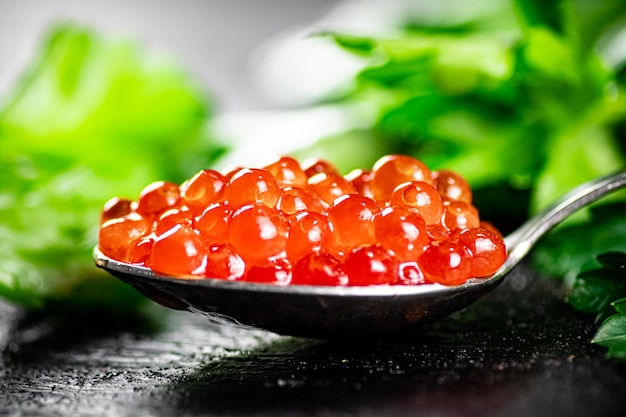 Une pleine cuillerée de caviar rouge sur la table avec du persil