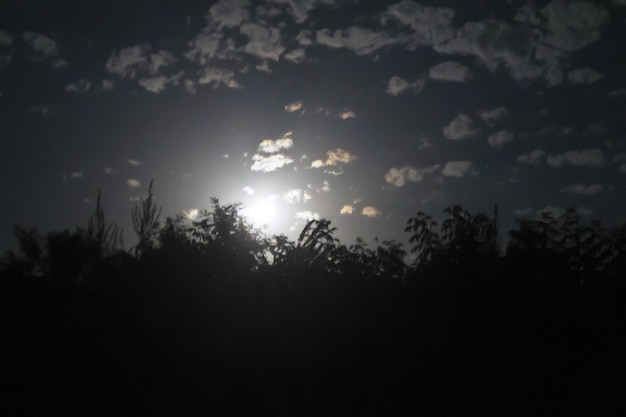 Pleine lune brillant à travers les nuages et les arbres