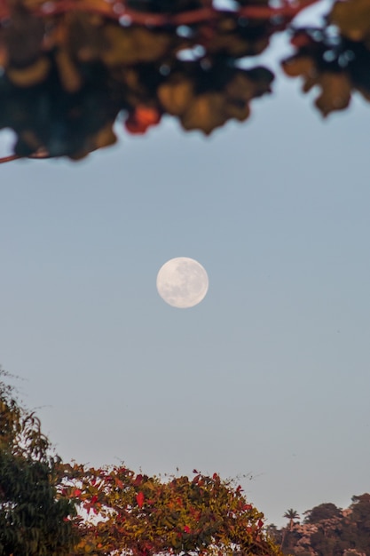 Pleine lune à Rio de Janeiro, Brésil.