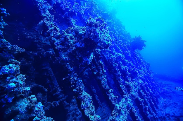 plongée épave thistelgorm, aventure sous-marine plongée historique, chasse au trésor