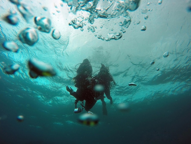 Photo plongée sous-marine dans la mer