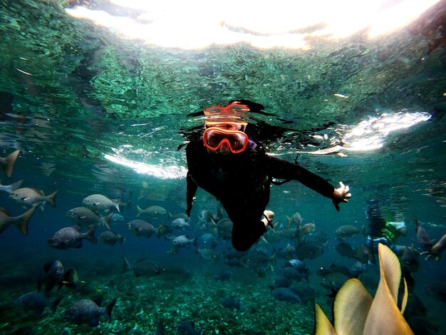 Photo plongée sous-marine en mer