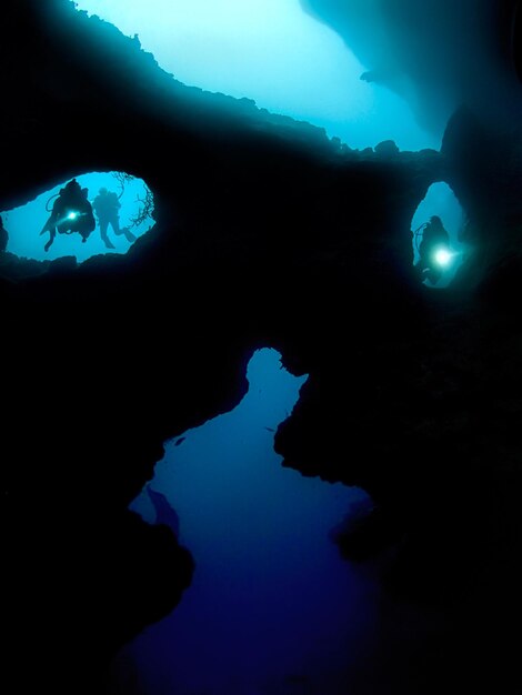 Photo plongée sous-marine