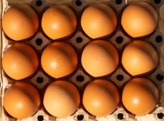 Plongées et gros plans. Beaucoup d'œufs de rangée dans le plateau. motif de fond Oeufs crus dans une boîte.