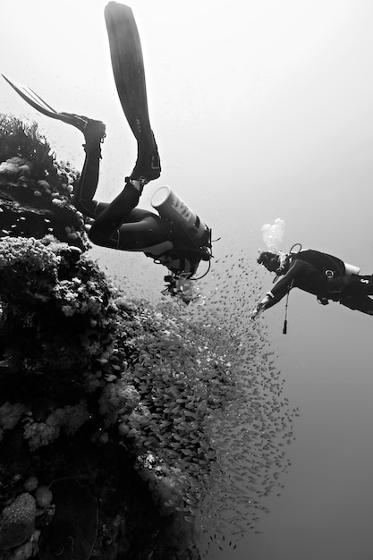 Des plongeurs dans la mer Rouge à Dahab Plongée sous-marine en Égypte