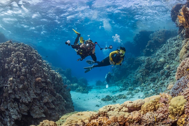 Les plongeurs plongent sur un récif tropical avec un fond bleu