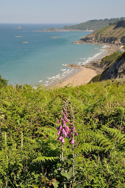 Photo plouha sur la côte bretonne