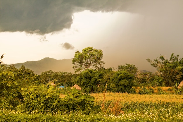 la pluie arrive à la ferme