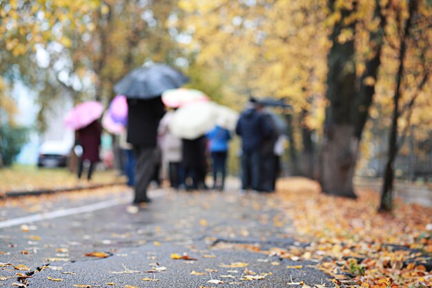 Pluie d'automne dans le parc pendant la journée