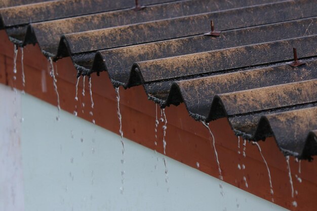 La pluie coulait par une fuite dans le toit