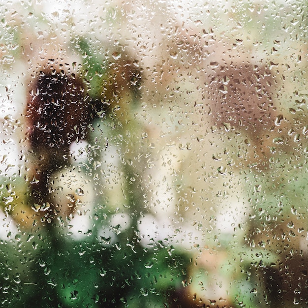 Pluie sur la fenêtre