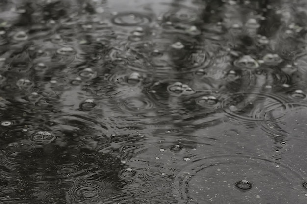 pluie de flaque d'arrière-plan / cercles et gouttes dans une flaque d'eau, texture avec des bulles dans l'eau, pluie d'automne