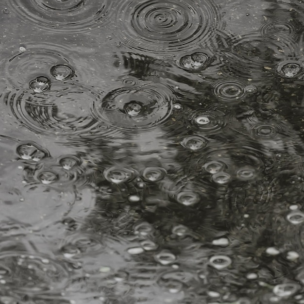 pluie de flaque d'arrière-plan / cercles et gouttes dans une flaque d'eau, texture avec des bulles dans l'eau, pluie d'automne