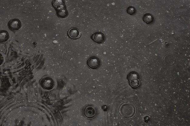 pluie de flaque d'arrière-plan / cercles et gouttes dans une flaque d'eau, texture avec bulles dans l'eau, pluie d'automne