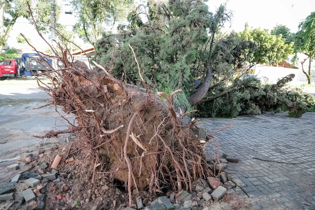 pluie avec orage dans un pays tropical brésil