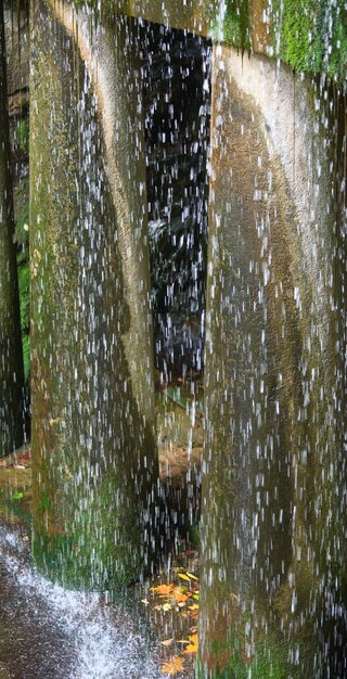 Pluie Et Porche Avec Piliers Et Marches (composition En Cascade Dans Le Parc De La Vieille Ville)