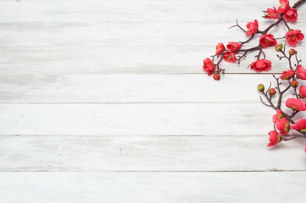 Plum Flowers Blossom sur planche de bois blanc