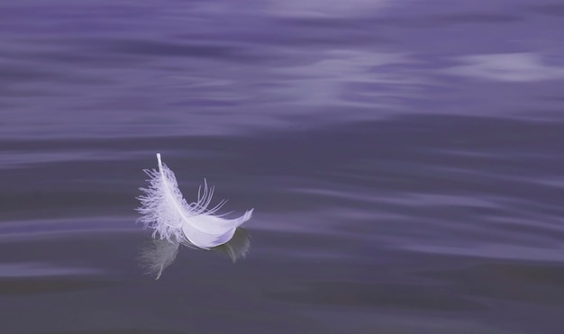 Plume d'air léger blanc sur l'eau