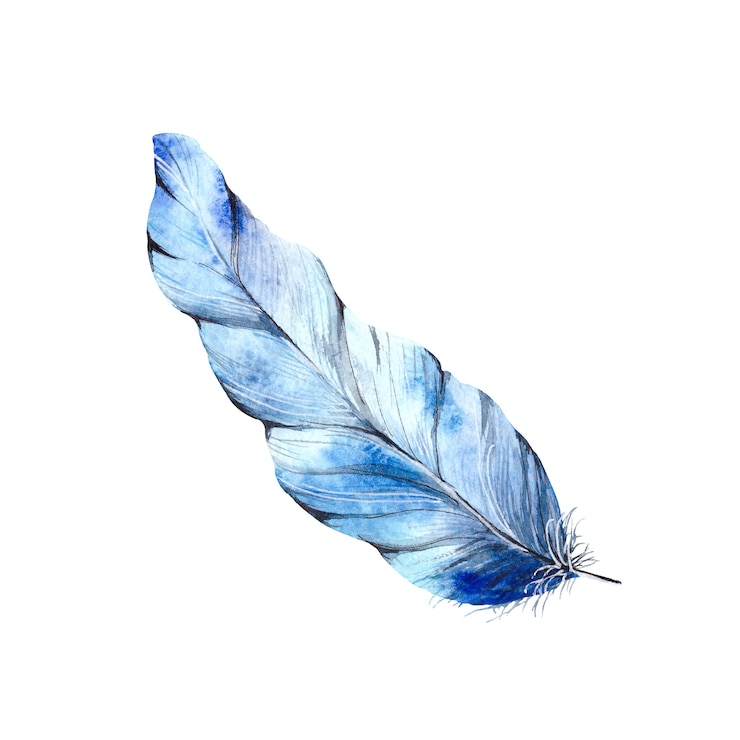 Photo une plume d'aquarelle bleu tendre un seul élément