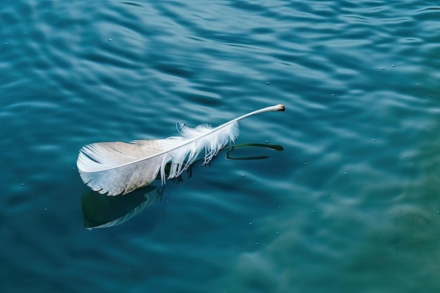 Plume blanche flottant à la surface de l'eau bleu clair