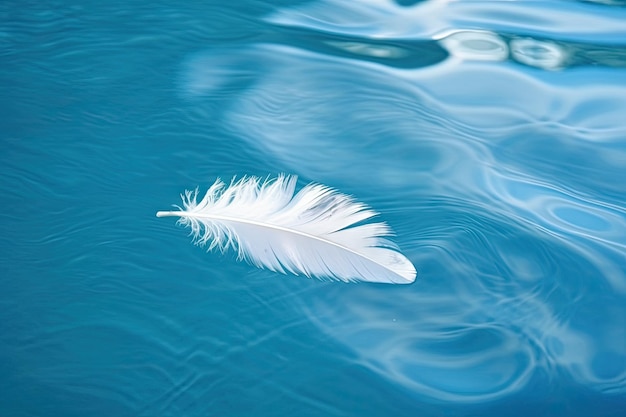 Plume blanche flottant à la surface de l'eau bleu clair