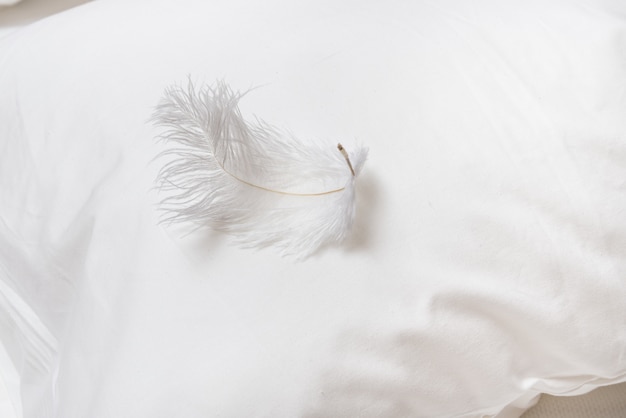 Plume blanche sur un oreiller moelleux