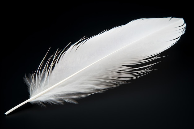 une plume blanche repose sur une surface noire