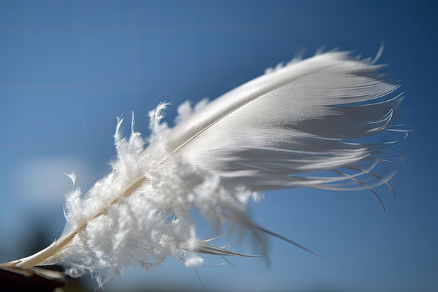 Photo plume blanche soufflant dans le vent contre le ciel bleu