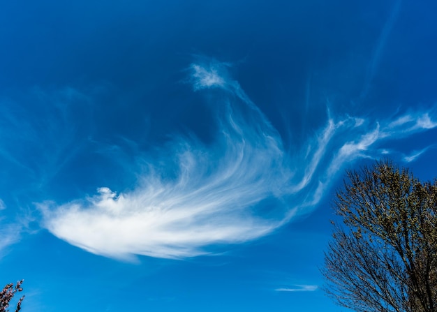 Photo une plume dans le ciel