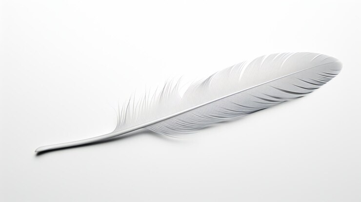 Photo une plume sur un fond blanc qui dit plume