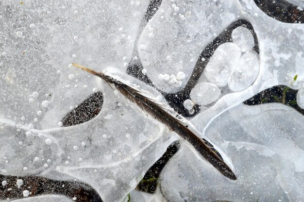 Photo une plume sur la glace