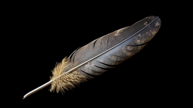 Plume isolée dans le studio