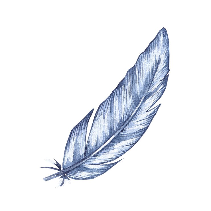 Photo plume d'oiseau à l'aquarelle