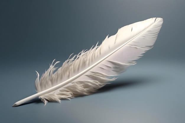 Une plume avec une plume blanche dessus