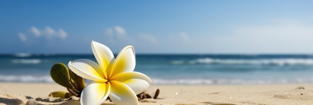 Photo plumeria frangipanier sur la mer tropicale et la plage fond de ciel bleu temps de fête d'été generative ai