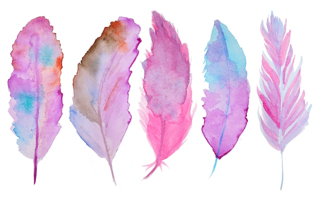 Photo plumes d'aquarelle