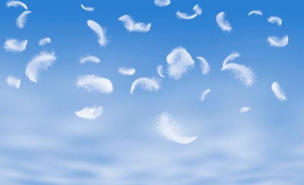 Plumes blanches flottant dans le ciel