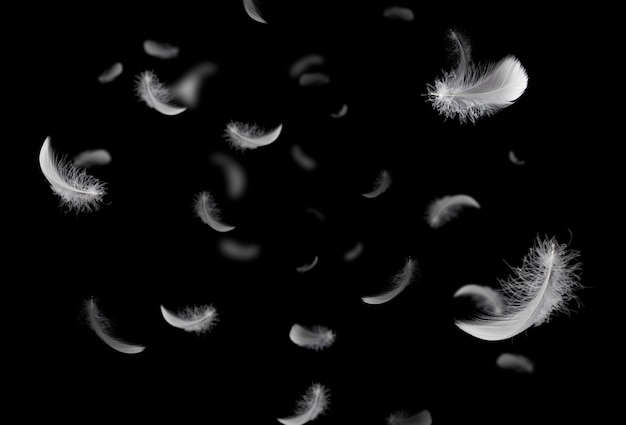 Plumes blanches flottant dans le noir