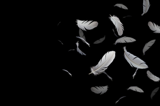 des plumes blanches flottent dans le noir.