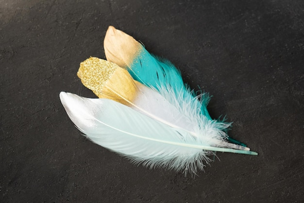 Plumes colorées avec décor doré sur fond texturé vintage foncé